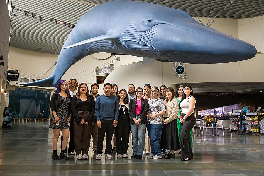 CELP Scholars 2024 Cohort poses under the suspended blue whale sculpture inside the Aquarium