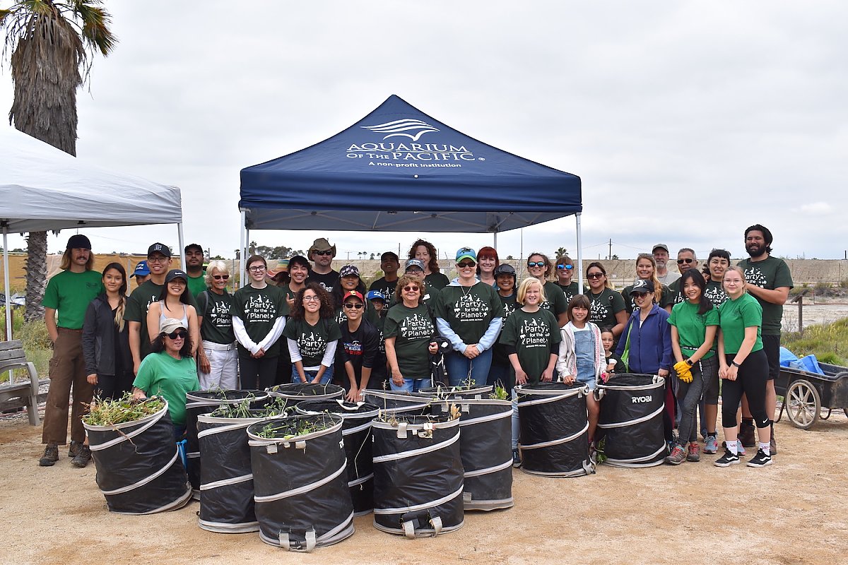 Group of volunteers in green