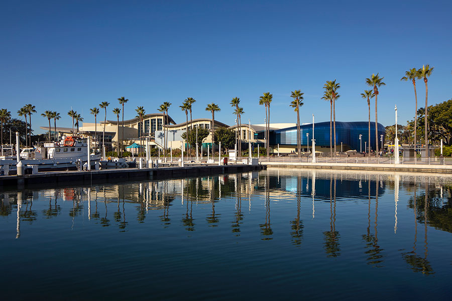 Aquarium view from the Harbor